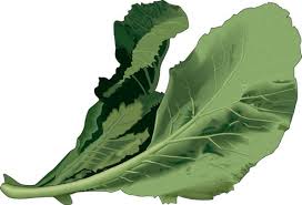 collards