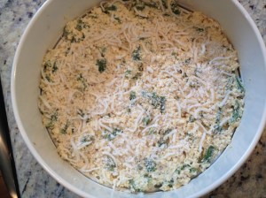 Press into sprayed pan. Add optional cheese.