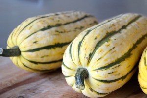 Delicata squash. Fancy name, fancy taste. 