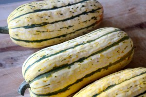 Do you know what these crazy things are?