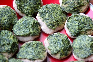 Shocking, but these were devoured. Even my pickiest child ate this (who shall remain nameless...)