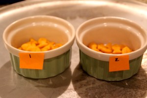 Super top secret. Mr. Foodie Call pointed out that I should not have let people see the actual crackers. True. I never said my test wasn't flawed.