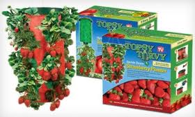 Remember the Topsy Turvy things? I had a strawberry one that fell to its death and then got eaten by some sort of rodent thing. grr.