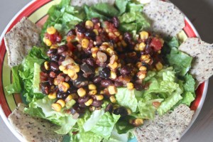 Easiest Taco Salad for kids.